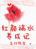 红颜祸水作者的小说封面